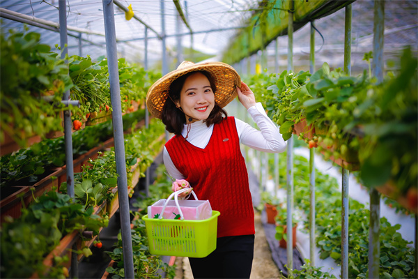 美联储巴尔金：7月份美国消费者支出可能有所改善